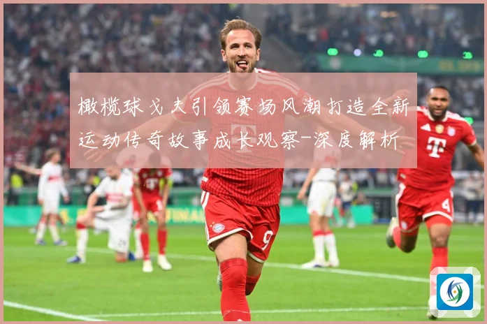 橄榄球戈夫引领赛场风潮打造全新运动传奇故事成长观察-深度解析